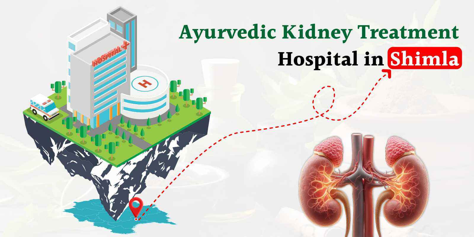 Ayurvedic Kidney Treatment Hospital in Shimla